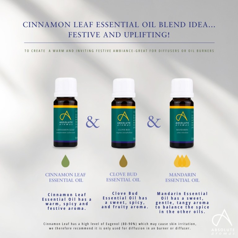 Absolute Aromas Cinnamon Leaf Essential Oil 3