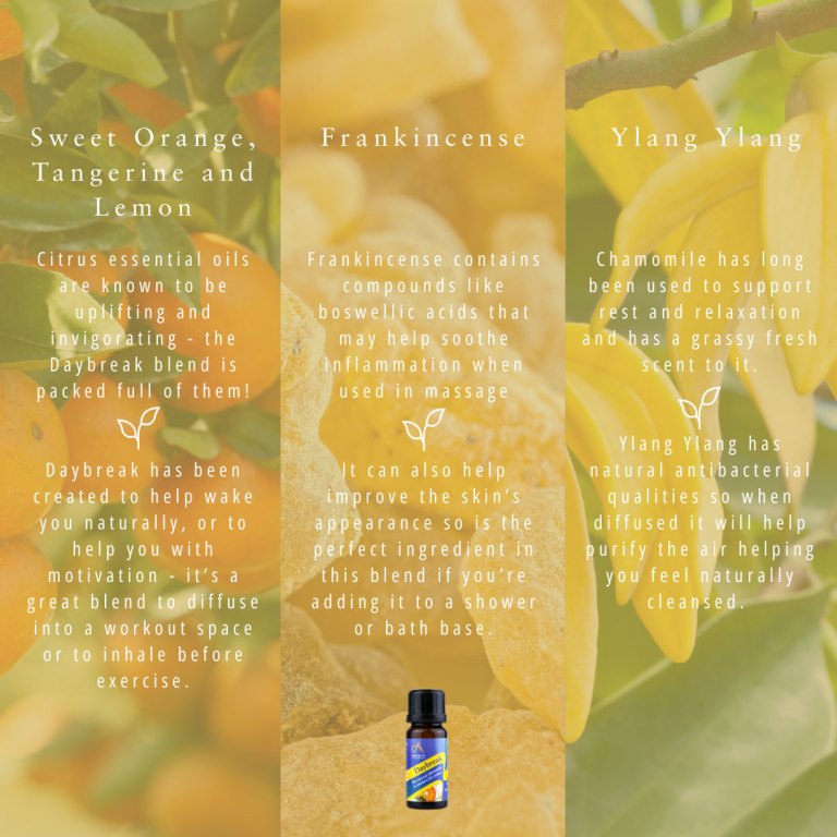 Absolute Aromas Daybreak Essential Blend 6