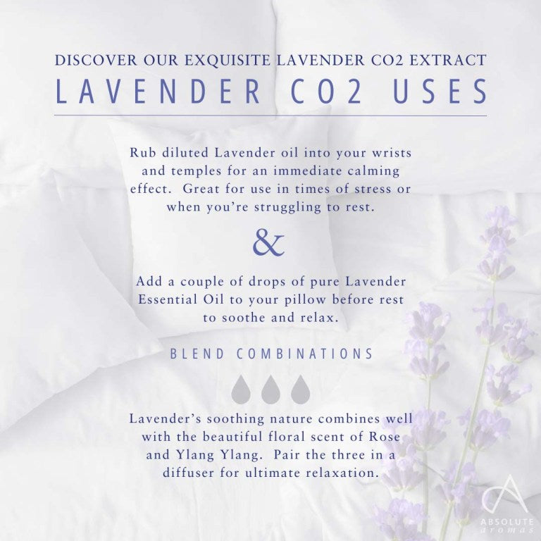 Absolute Aromas Lavender CO2 Extract 3