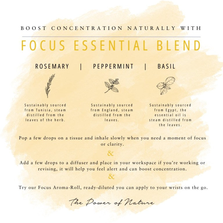 Absolute Aromas Focus Essential Blend