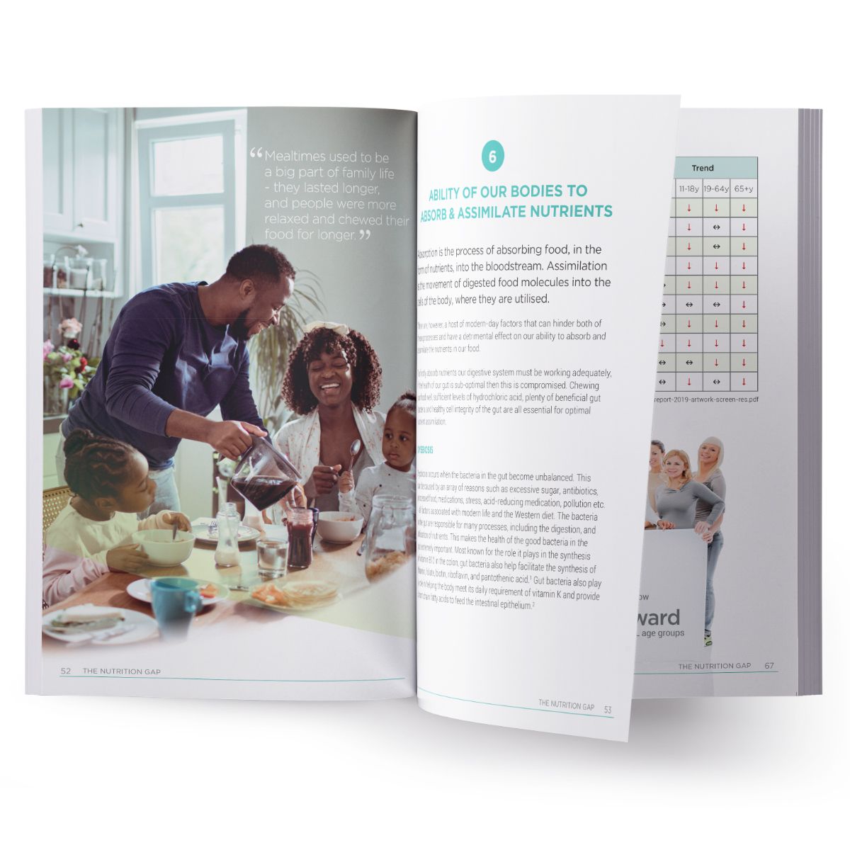 Cytoplan Guide to The Nutrition Gap