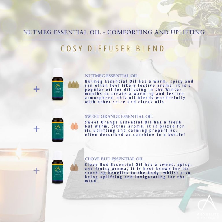 Absolute Aromas Nutmeg Essential Oil 3