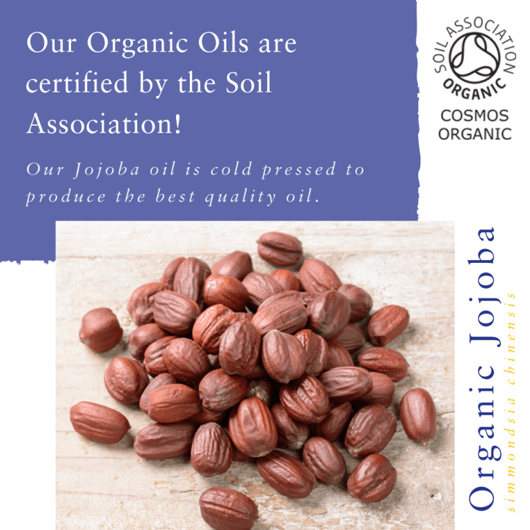 Absolute Aromas Organic Jojoba 5