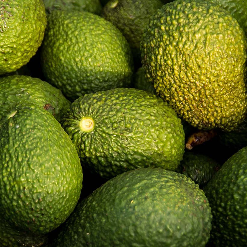 Alteya Organics Certified Organic Avocado Oil 5
