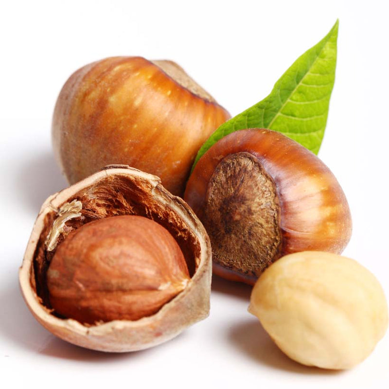Alteya Organics Certified Organic Hazelnut Oil 4