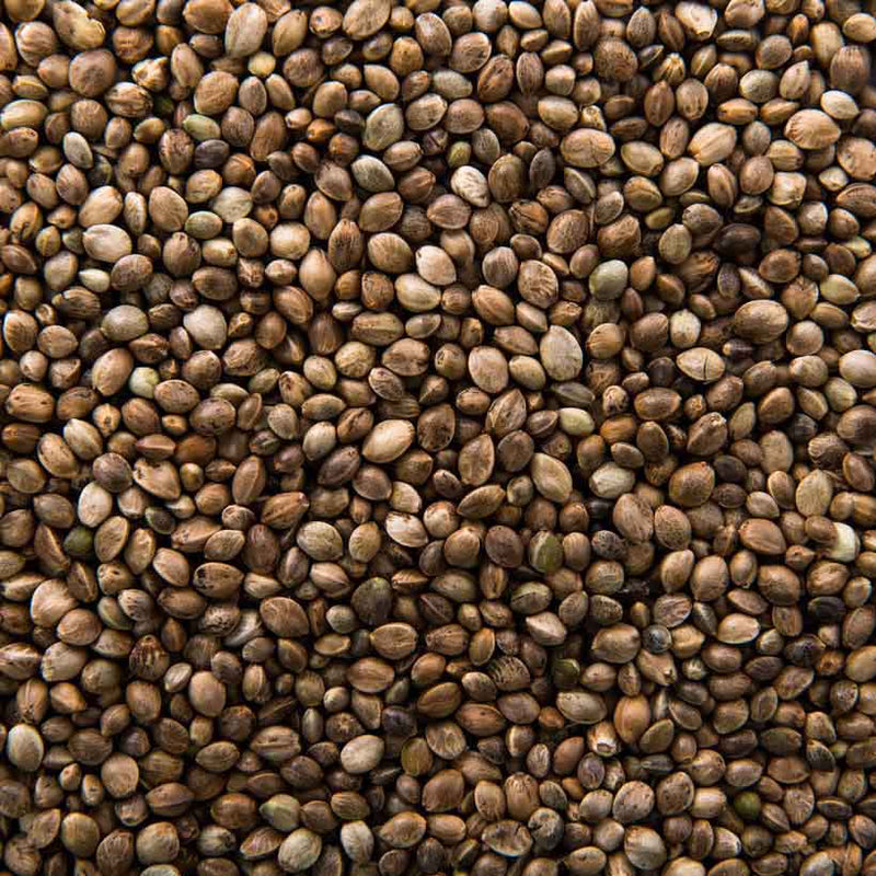 Alteya Organics Certified Organic Hemp Seed Oil 5