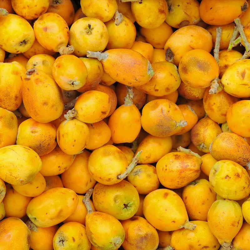 Alteya Organics Certified Organic Marula Оil 3