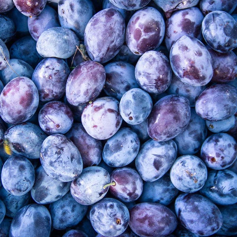 Alteya Organics Certified Organic Plum Kernel Оil 5