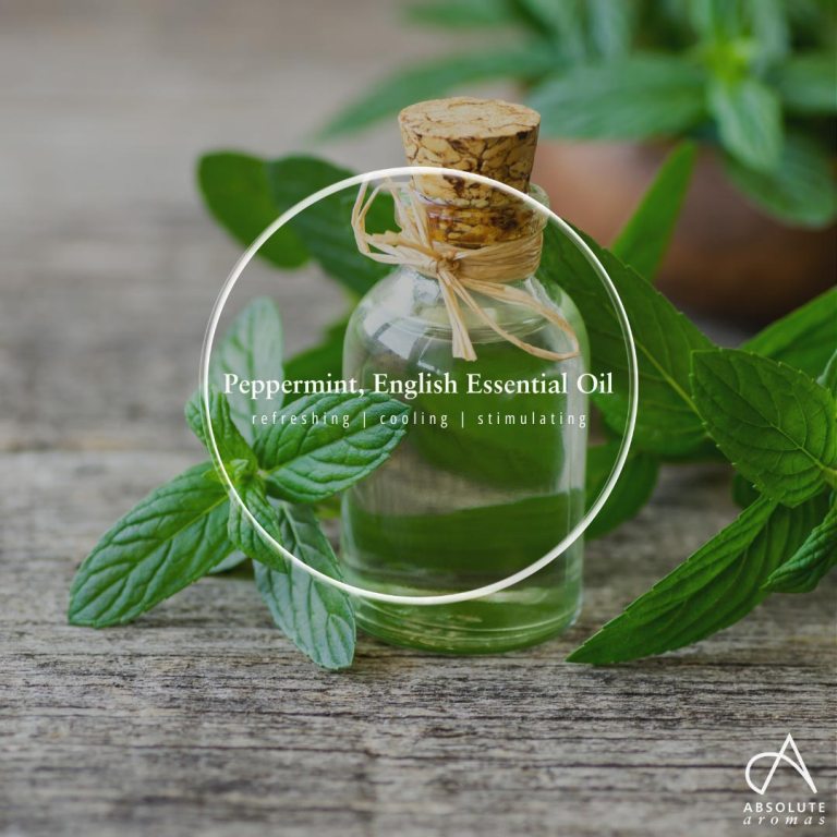 Absolute Aromas Peppermint (English) Essential Oil 6