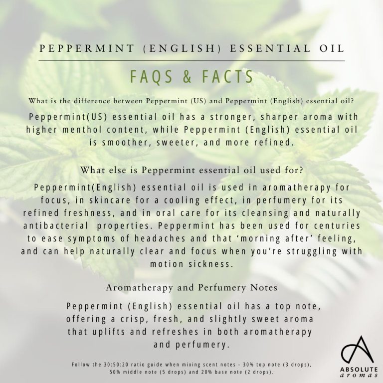 Absolute Aromas Peppermint (English) Essential Oil 5