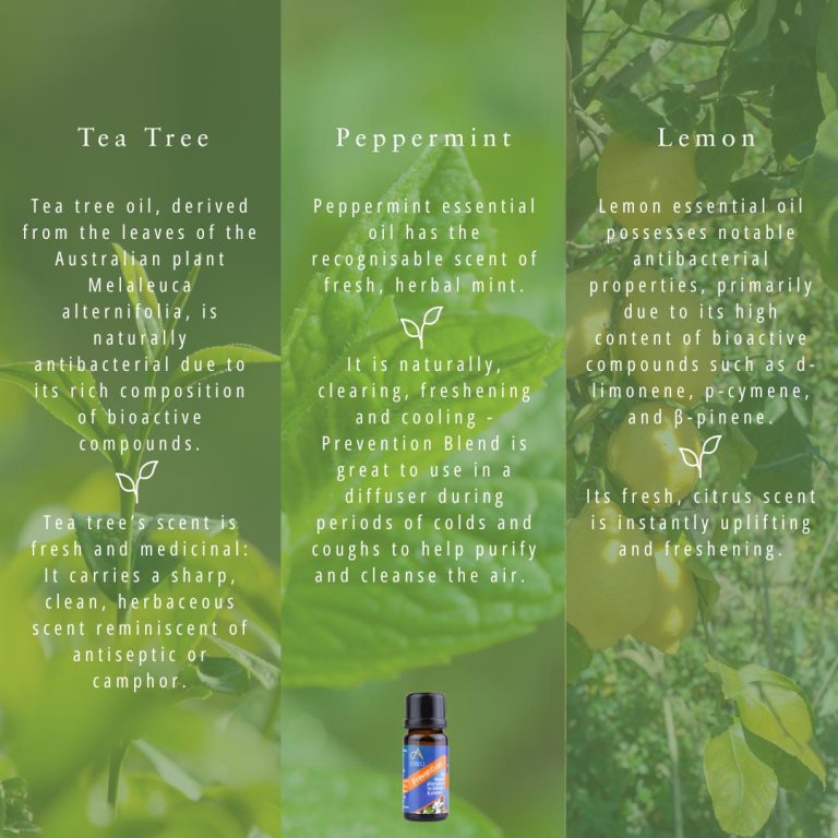 Absolute Aromas Prevention Essential Blend 6