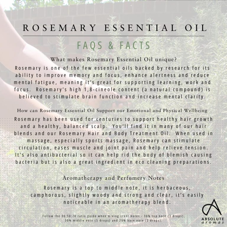 Absolute Aromas Rosemary Essential Oil 5