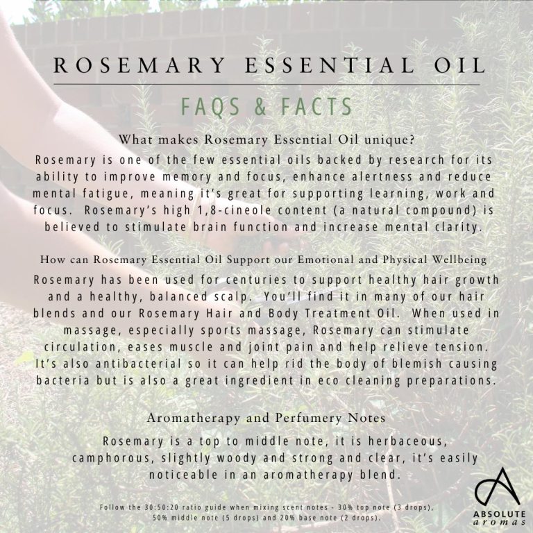 Absolute Aromas Rosemary Essential Oil 5