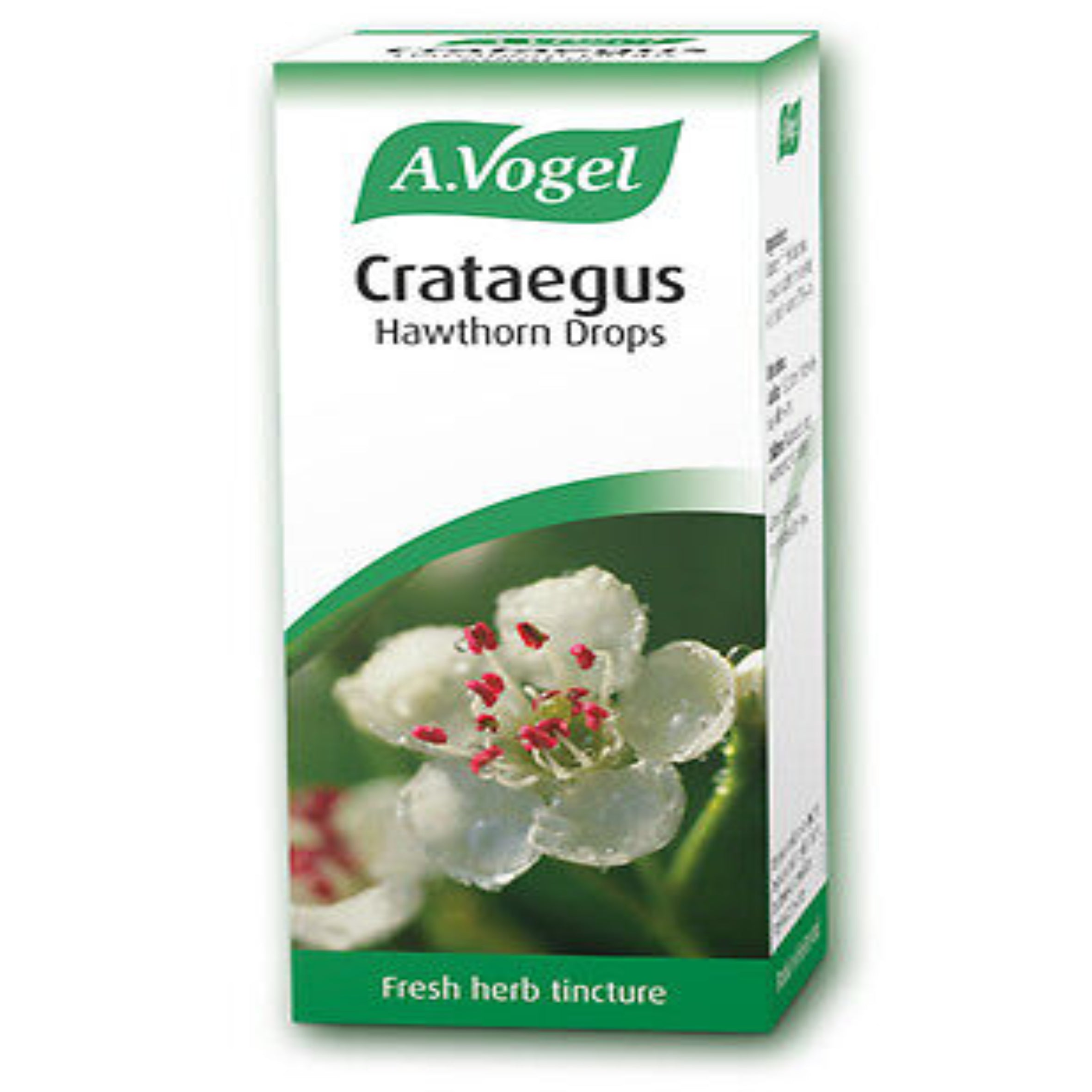 A.Vogel Hawthorn (Crataegus)