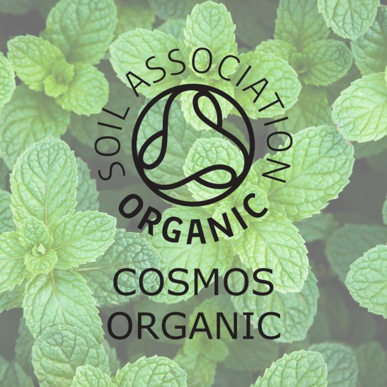 Absolute Aromas Organic Peppermint Essential Oil (English)