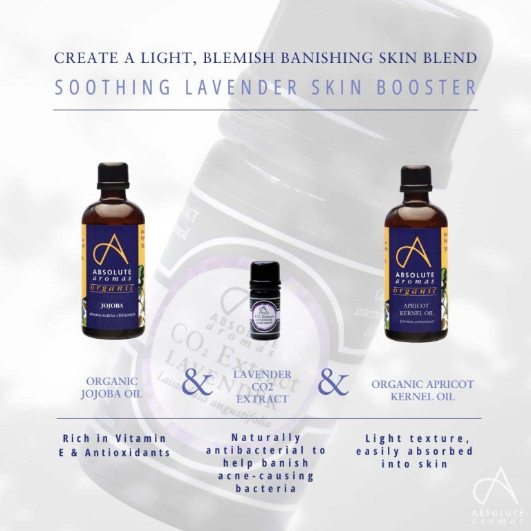 Absolute Aromas Lavender CO2 Extract 4