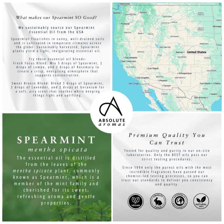 Absolute Aromas Spearmint Essential Oil 4