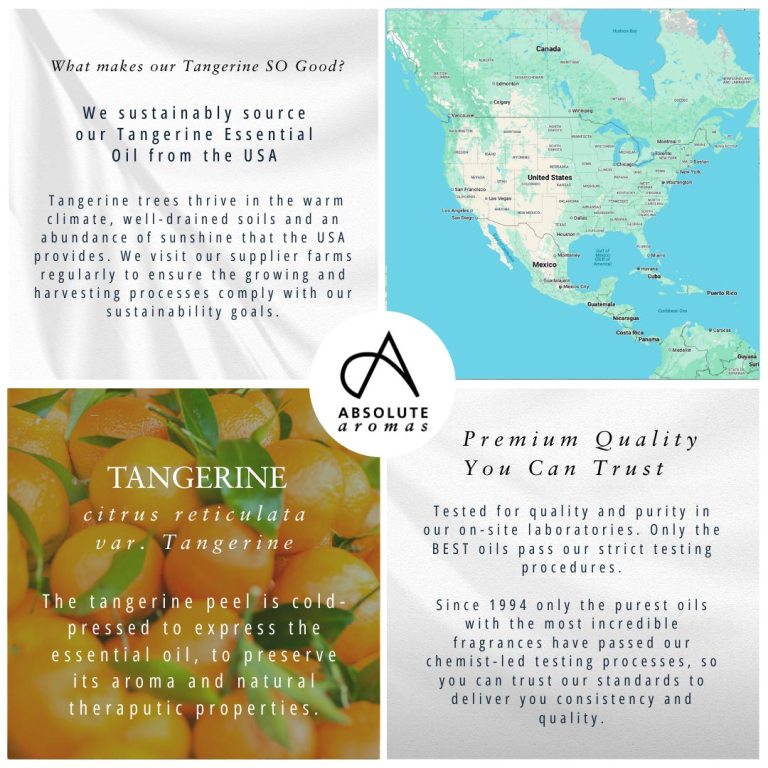 Absolute Aromas Tangerine Essential Oil 4