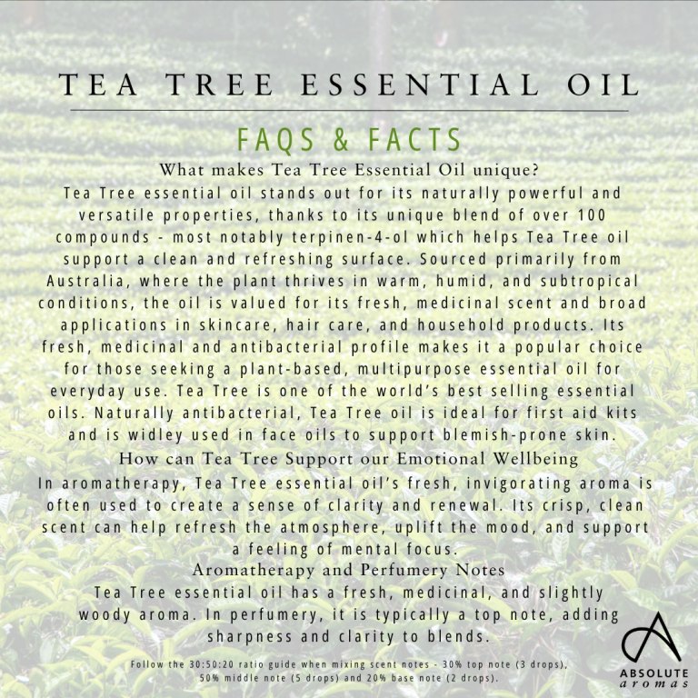Absolute Aromas Tea Tree Essential Oil 6