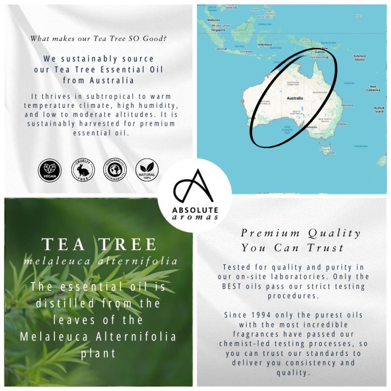 Absolute Aromas Tea Tree Essential Oil 4