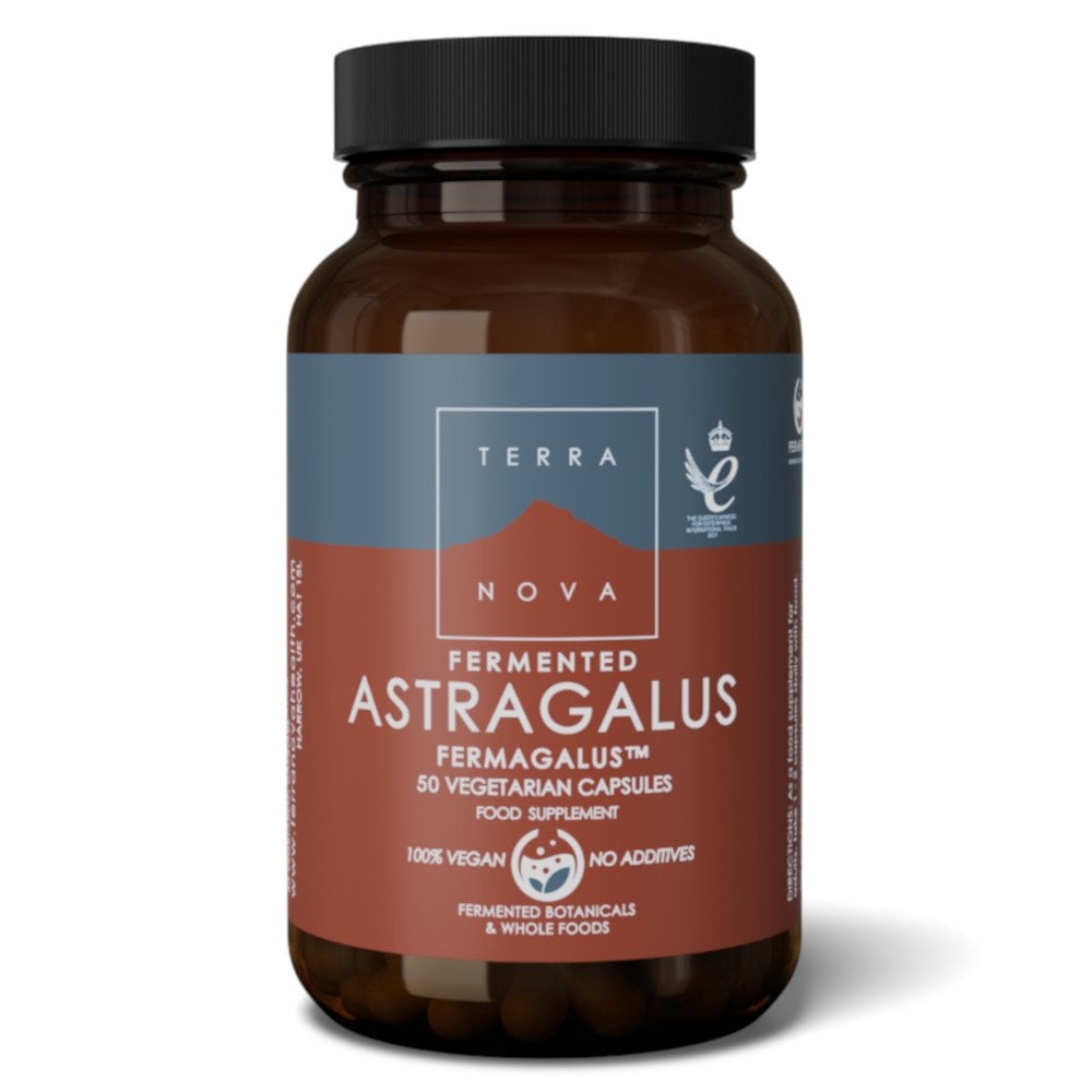 Terranova Fermented Astragalus (Fermagalus)