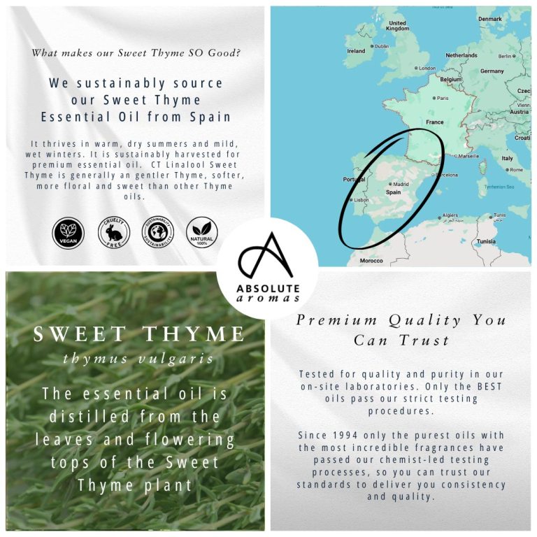 Absolute Aromas Thyme, Sweet (ct Linalool) 4