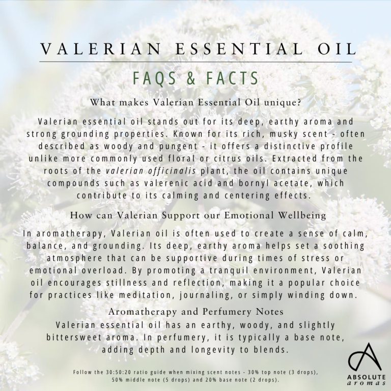 Absolute Aromas Valerian Essential Oil 5