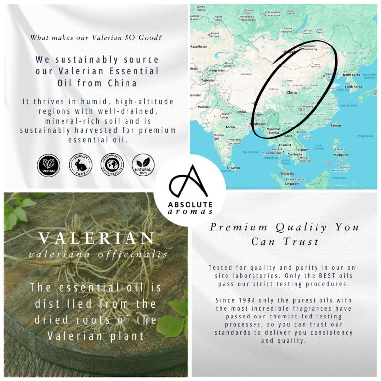 Absolute Aromas Valerian Essential Oil 4